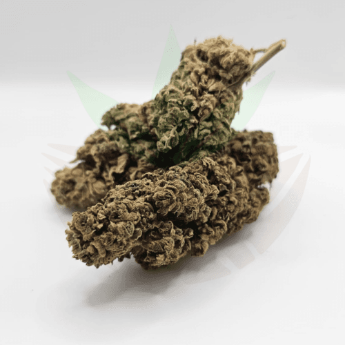 fleur cbd Amnésia indoor