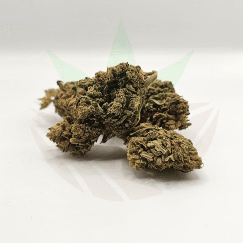 fleur cbd cheese outdoor