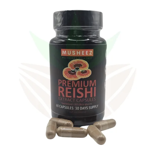 champignons adaptogènes reishi en gélules de musheez