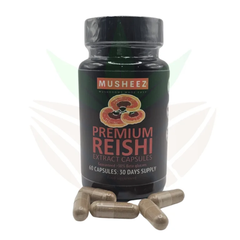 champignons adaptogènes reishi en gélules de musheez