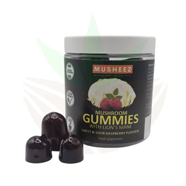 gummies champignons adaptogènes lion's mane ou crinière de lion de musheez